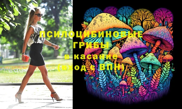 дурь Алексин