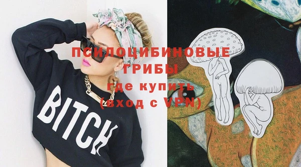 дурь Алексин