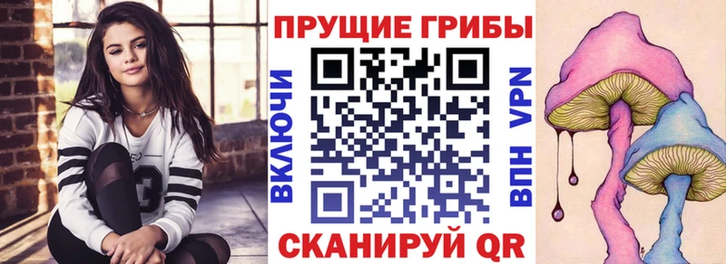 Псилоцибиновые грибы Psilocybine cubensis  Североуральск 